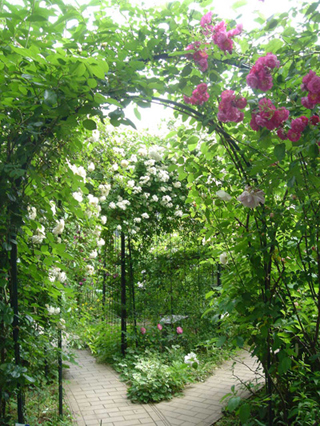 takaido rose garden